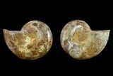 2.9" Cut & Polished Agatized Ammonite Fossil (Pair)- Jurassic - #131649-1